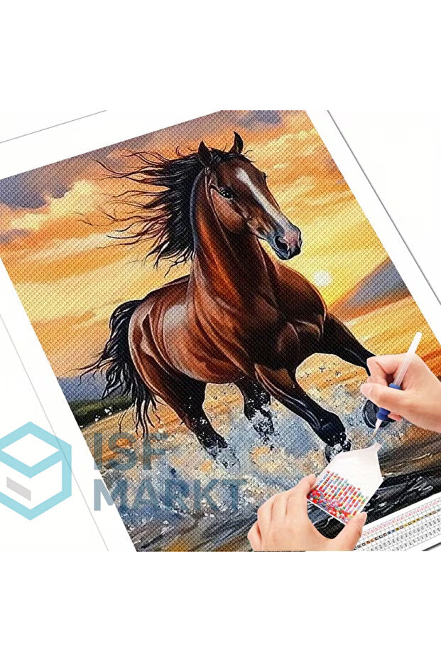 Asil At Portresi Elmas Boyama Seti | 30x40cm Yuvarlak Taşlı Özgürlük DIY Hobi Kiti