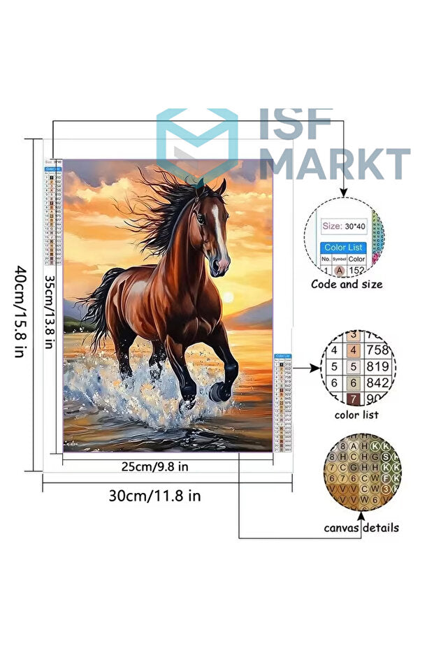 Asil At Portresi Elmas Boyama Seti | 30x40cm Yuvarlak Taşlı Özgürlük DIY Hobi Kiti