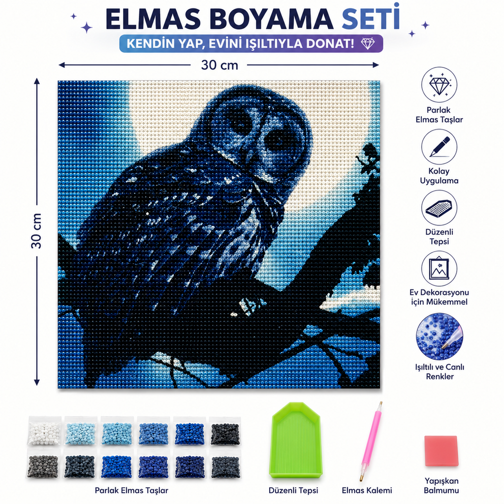 Dolunayda Baykuş 5D Elmas Mozaik Tablo Seti 30x30 cm - Boncuk Taş Boyama Hobi Kiti